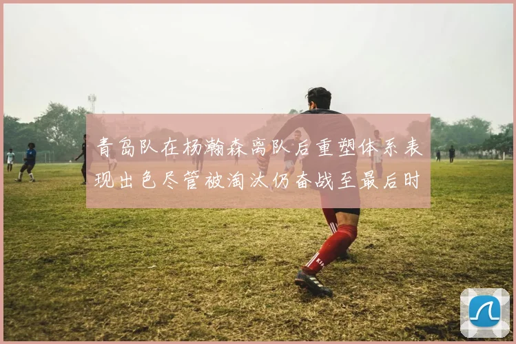 青岛队在杨瀚森离队后重塑体系表现出色尽管被淘汰仍奋战至最后时刻