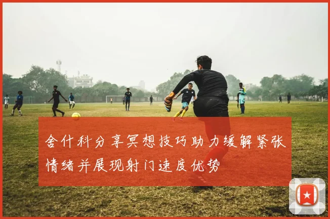 舍什科分享冥想技巧助力缓解紧张情绪并展现射门速度优势